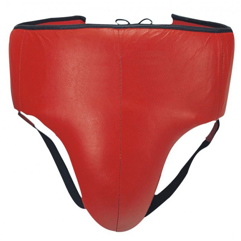 Groin / Abdominal Guard